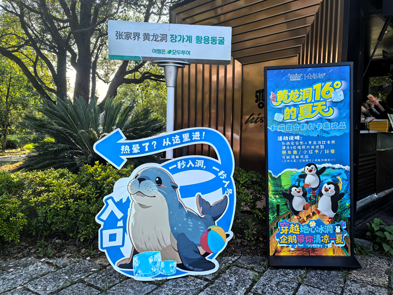 企鵝、海獅、水豚“凍”感亮相！黃龍洞景區(qū)“萌寵避暑季”將于7月18日正式開啟