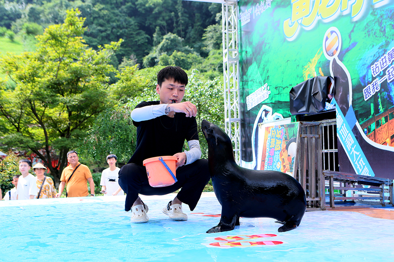 張家界黃龍洞：溶洞清涼游升溫 中外游客盡享夏日避暑新體驗(yàn)