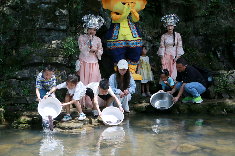 人工增殖放流百余尾幼苗，張家界黃龍洞“大鯢家園”再添新丁