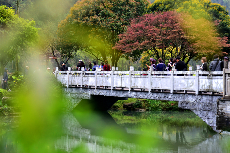 清明游玩黃龍洞，不負(fù)滿園好春光（組圖）